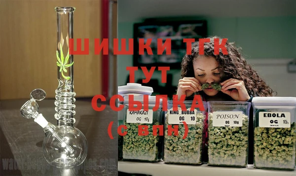 прущая мука Дмитриев